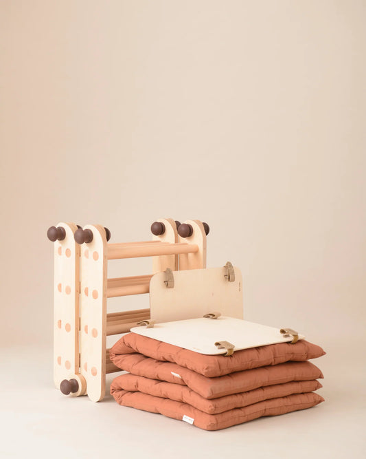 Rust twin cushion set
